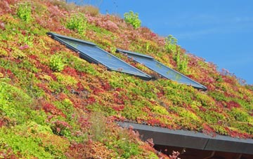 Kingstone Winslow living roof systems