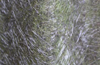 Kingstone Winslow fibreglass roof work